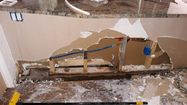Best Water damage restoration near me  in Rosaryville, MD
