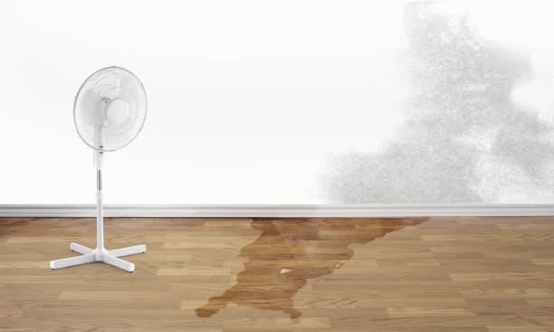  Rosaryville, MD Water damage restoration Pros