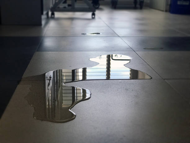 Best Water damage restoration near me  in Rosaryville, MD