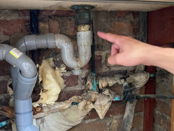 Best Mold removal after water damage  in Rosaryville, MD